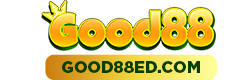 good88ed.com