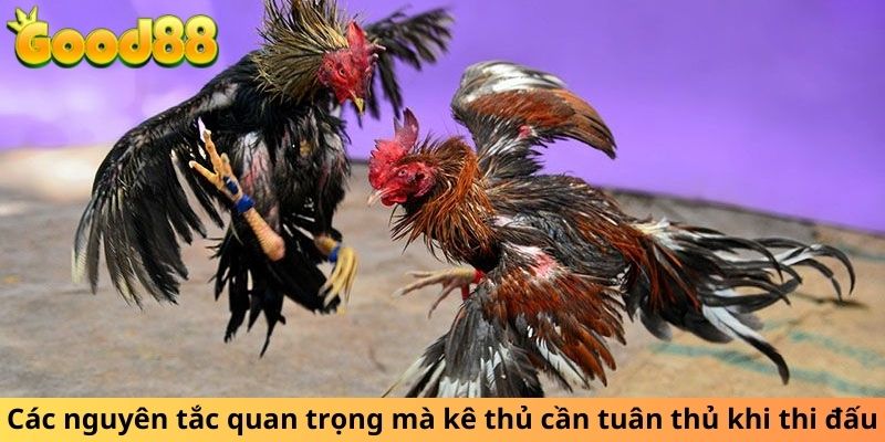 Các nguyên tắc quan trọng mà kê thủ cần tuân thủ khi thi đấu